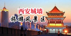 淫水大胸黄污69XX爱液搔逼中国陕西-西安城墙旅游风景区